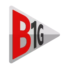 B1G Player APK APK