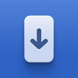 DSU Sideloader APK APK